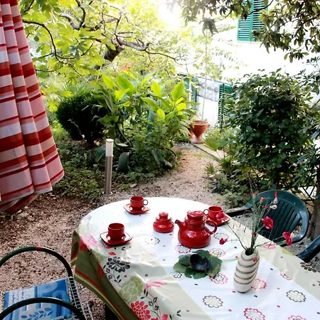 With Garden - Zuvan Σπλιτ